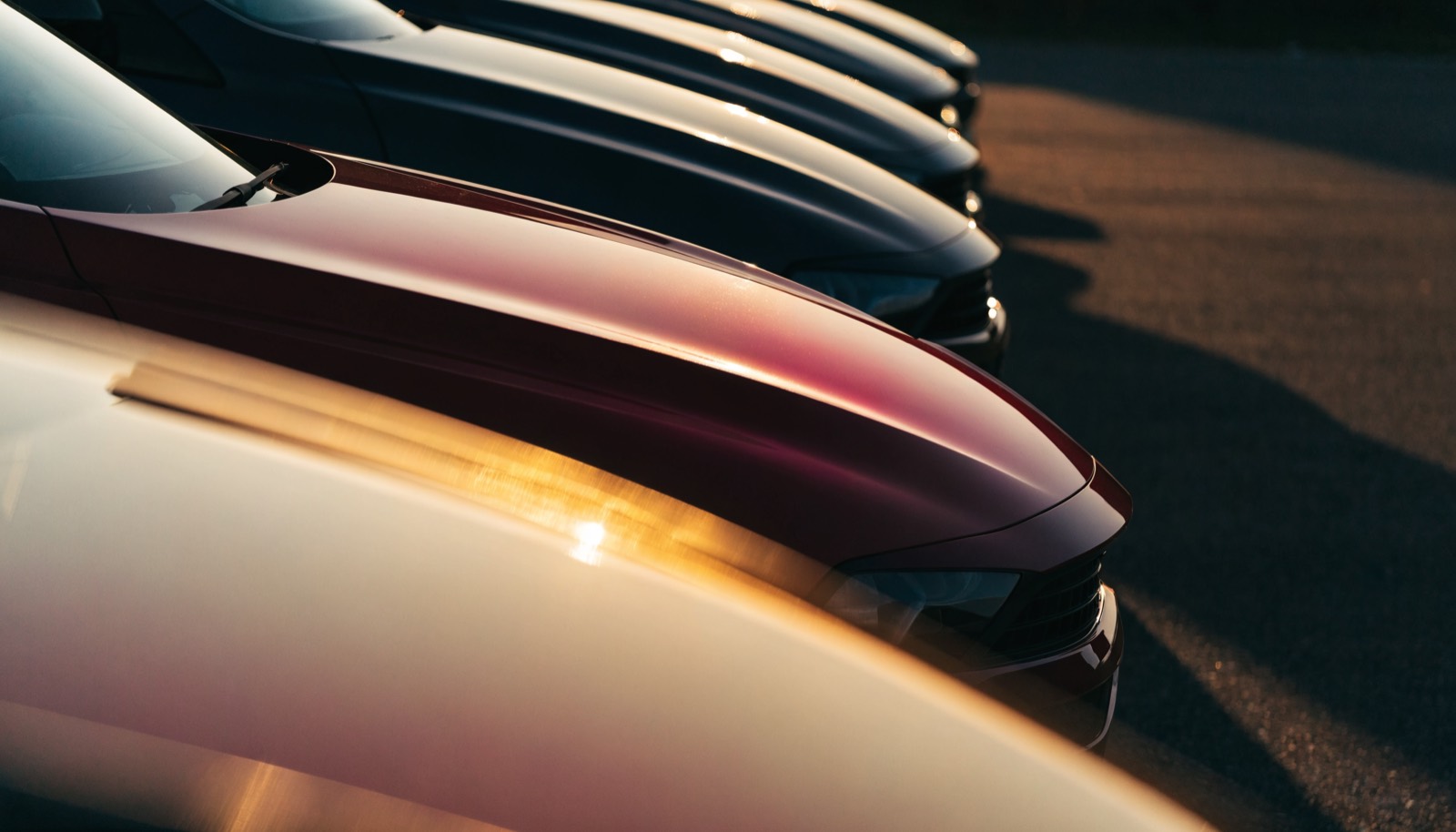 A row of parked cars at golden hour, one crimson car sharp among them, long shadows on the tarmac.